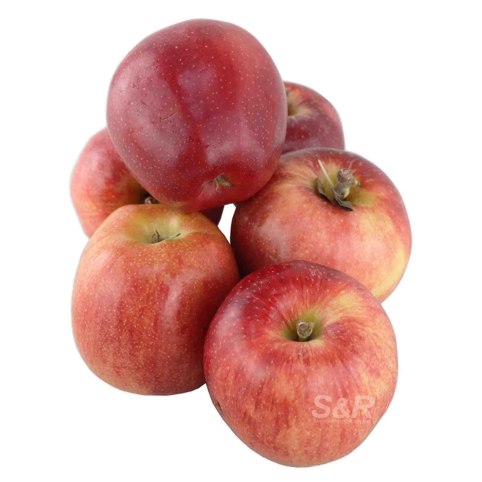 S&R Fuji Apple 6pcs S&R Fuji Apple 6pcs